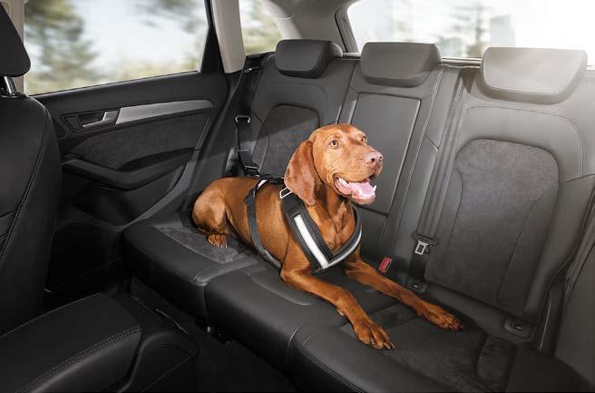 34 01 01 Rear protective cover Protects large surfaces against dirt at the rear. The versatile zip-fastening system allows a dog to enter and exit the vehicle via the rear doors.