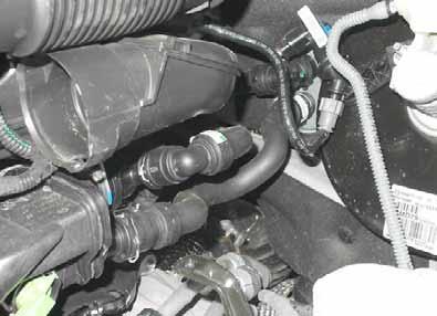 Remove hose of engine outlet / heat exchanger inlet