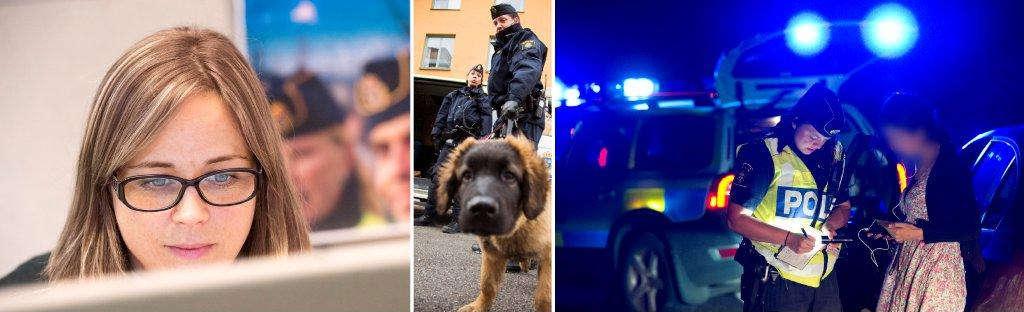 The Swedish Police