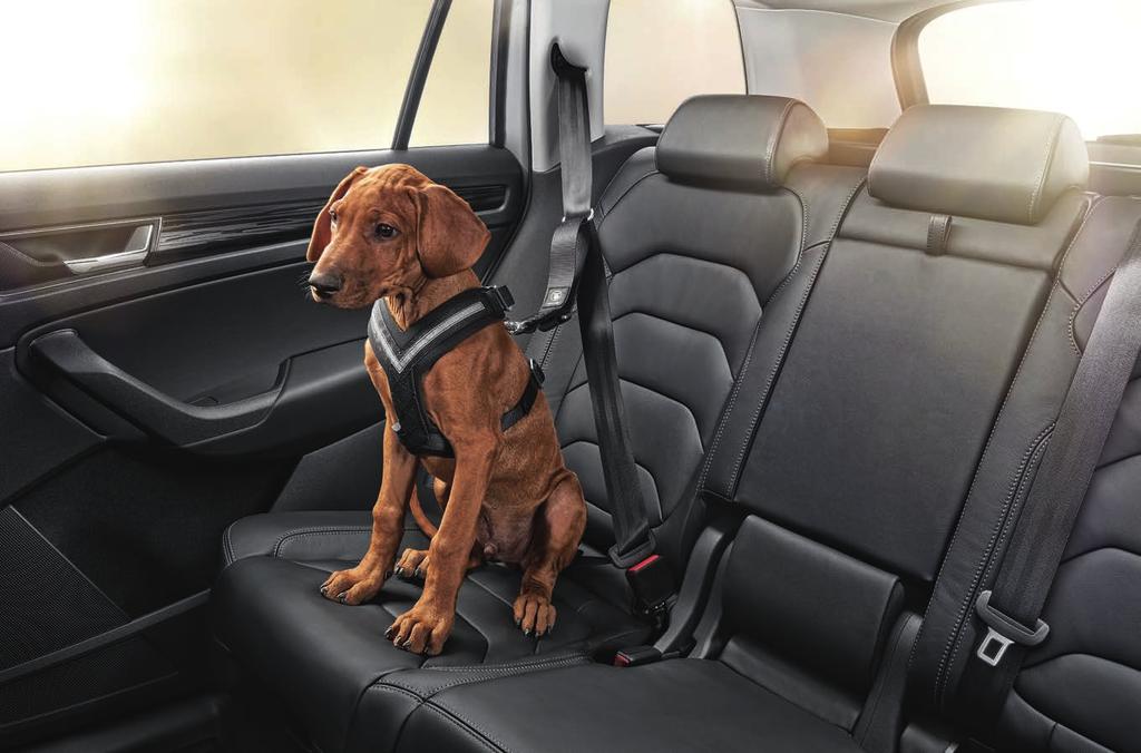 SAFETY Dog safety belt size S (000 019 409A) size M (000 019 409B) size L (000 019 409C) size XL