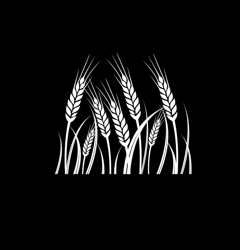 World Wheat Supply and Demand Situation November 218 Major
