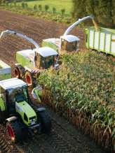 Transport Needs with large SP harvesters Base scenario (350 hp with haycrop silage) N t,req'd = 1.6 + 0.077[1*350*4/(2*30)] = 3.4 6 miles round trip N t,req'd = 1.6 + 0.077[1*350*6/(2*30)] = 4.