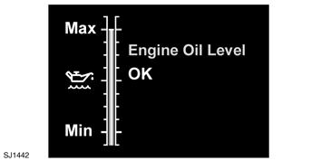 Fluid level checks ENGINE OIL CHECK Check the engine oil weekly. If any significant or sudden drop in oil level is noted, seek qualified assistance.
