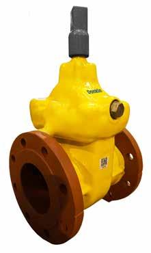 VALVE OPTIONS PREMIUM PRODUCT The Premium Product 20 year warranty* for Series 555 valves incorporates all of the following options: The Donkin Polyurethane Coating, Stainless Steel Spindle, PE Tails