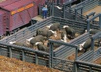 SCALE FIGURES Beef Cattle Walthers Cornerstone 933-3143 pkg(16) Reg. Price: $10.98 Sale: $9.
