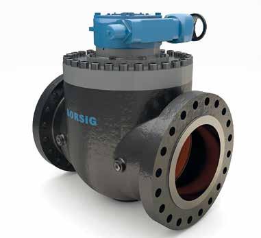 TOP ENTRY BALL VALVE - TEV Control Ball Valves and Shut-Off Ball Valves Control and shut-off function possible Erosion and corrosion resistance Extreme durability and robust design ideal for severe