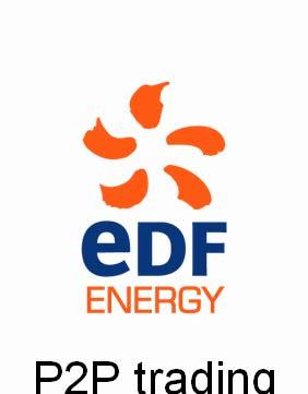 Project Structure Project Lead EDF Energy