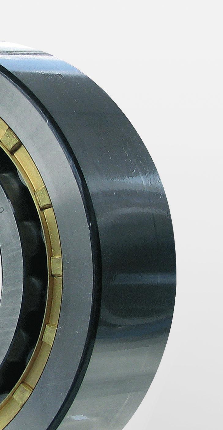 The product range of these bearings includes bearings for various types of drives, pumps and fans, as