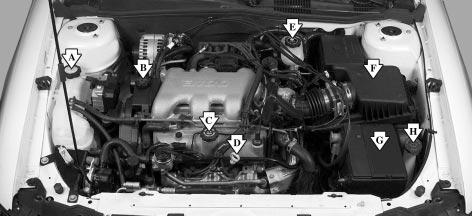 3100 V6 (CODE J) Engine When you open the hood, you ll see: A. Engine Coolant Surge Tank B. Power Steering Fluid Reservoir C.