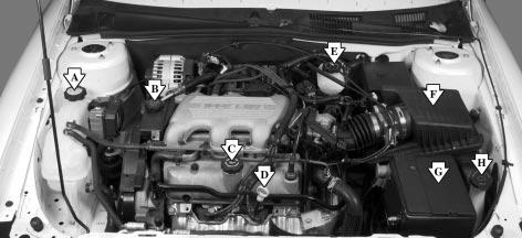 3100 V6 (CODE M) Engine When you open the hood, you ll see: A. Engine Coolant Surge Tank B. Power Steering Fluid Reservoir C.