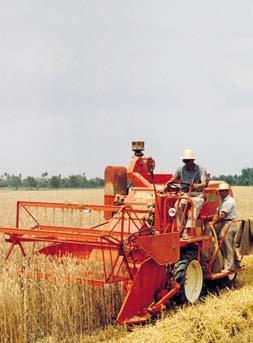 In 2007, Argo created a 50% joint venture of Laverda with the American AGCO Corporation, one of the leading