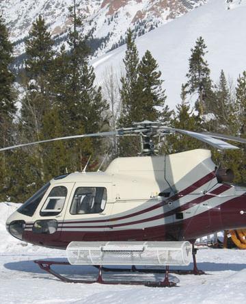 Helicopters New Mexico/Nationwide South Coast Helicopters California/Nationwide Hillsborough County Sheriff
