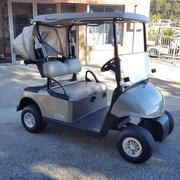 ($450) Cool Dry Seat covers ($169) Sand Bottle / Cool Box $3,995 incl GST EZGO RXV GOLF CART - Petrol