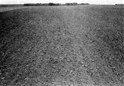 (FIGURE 6) was symmetrical and did not impose any side forces on the cultivator during normal tillage.