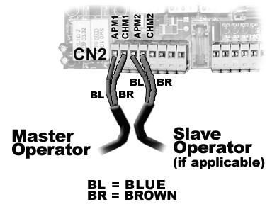 Wiring The Operator Arm(s) BL BR BL For the Master Operator: In terminal block CN2 insert the BLUE wire in APM1 and BROWN wire in CHM1.