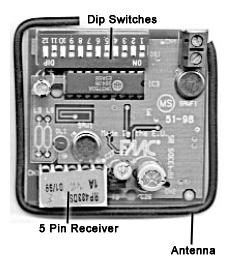 $$ Installing the Receiver 1) Locate the 5 Silver Pins on your MASTER Estate Swing board, located above the battery. 2) Locate the white connector on the receiver.