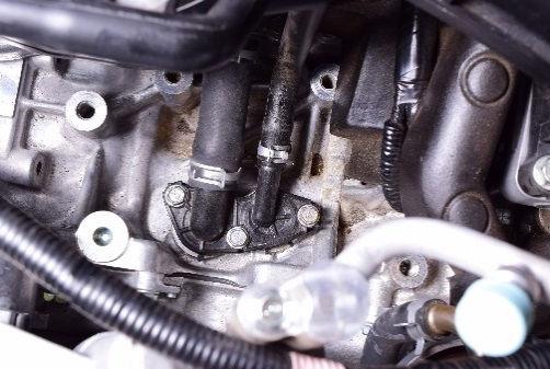 17 Disconnect the crankcase vent hose from the fitting on the