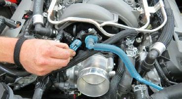 Using a hose clamp tool and pliers, remove the brake