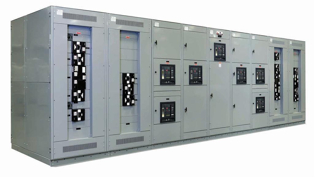 Products Panelboards A wide variety of components can be integrated into IEM panelboards including surge suppression equipment, custom metering, receptacles, and more.