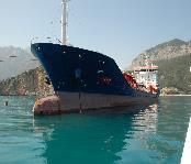Million Tons DİTAŞ Marine Transportation Tüpraş Share %79.