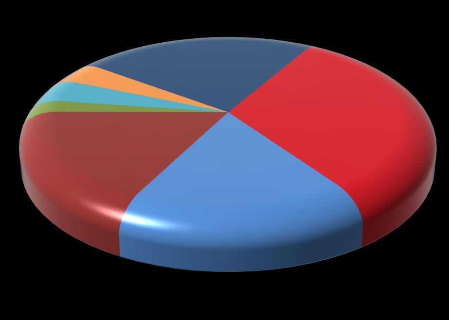 18% OPET 17% Petkim % LPG 4% Jet 4% Total: 6,9