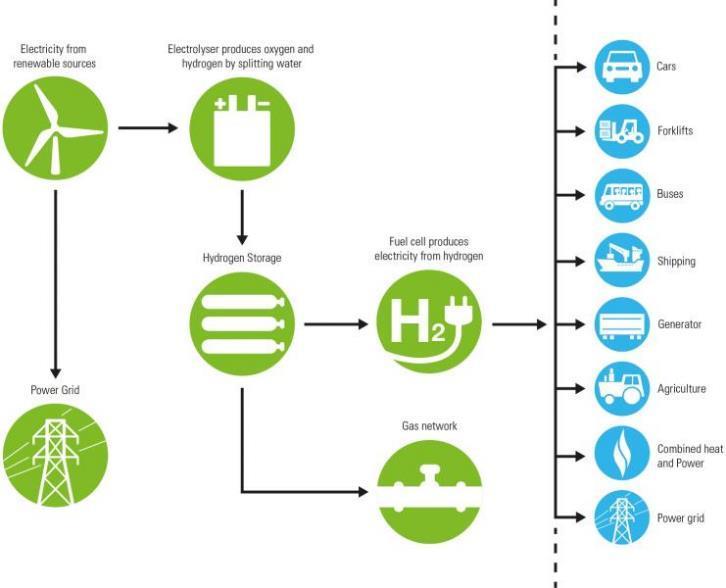 transition to low-carbon transport