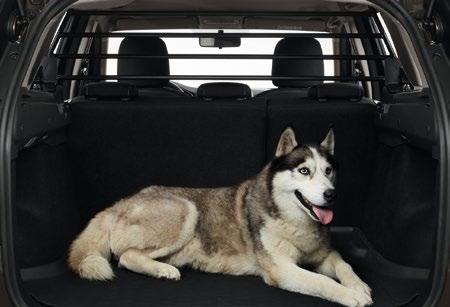 Pet pack Keep your pooch snug and safe, and protect your shiny new car.