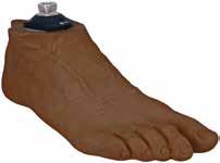 Seattle Natural with Pyramid Lightweight One standard Delrin keel per foot size Propels amputee through cadence Natural looking Lightfoot Foot Shell and realistically detailed Lifecast Foot Shell