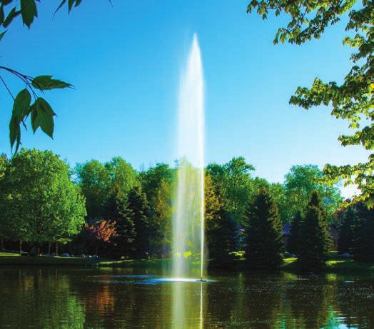 An ideal fountain for commercial and residential applications that adds beauty while promoting a healthy aquatic environment.