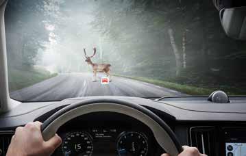In the Volvo V90, our comprehensive collision avoidance package, City Safety, also includes detection of large animals, like moose/elk, deer, horses and cows another Volvo world-first.