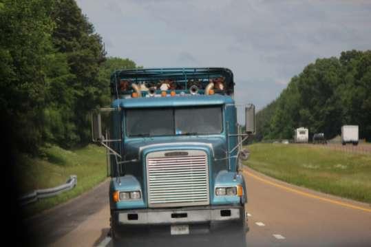 Six days later on June 18, Tennessee Department of Public Service stopped 4 Three Angels Farms semis and quickly put 3 of the 4 tractors out of service for defective brakes, tire tread separation,