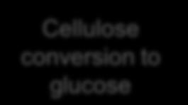Cellulose conversion to glucose Hydrolysis 5%