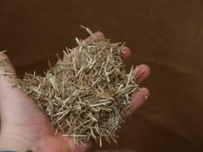 6 Switchgrass and sugarcane bagasse
