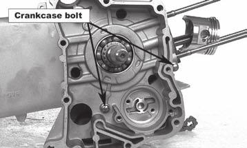 Remove the crankcase positioning bolts.