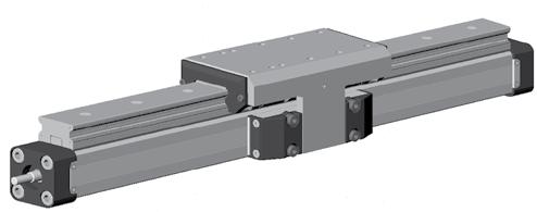 Linear Guide Options ProLine External Roller Guide System for Smooth, High-Speed Operation ProLine is a precision aluminum external roller guide rail option designed for smooth, high speed operation
