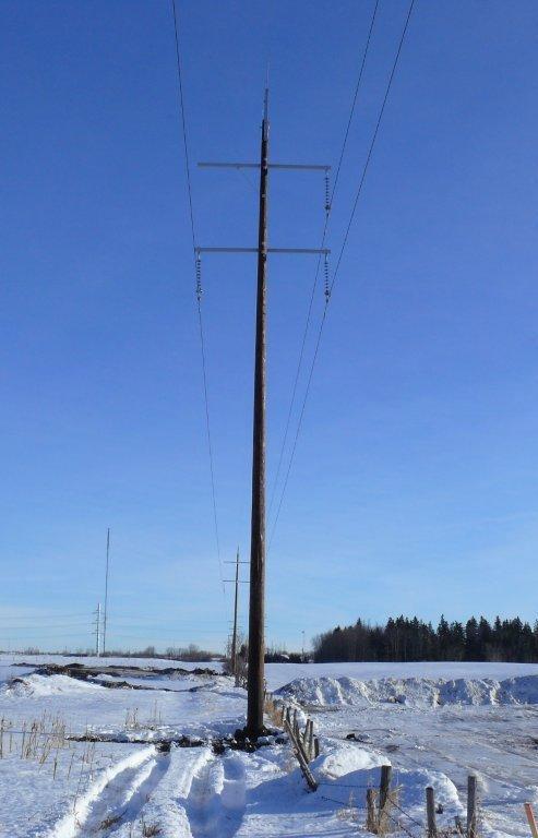 Transmission structures The proposed transmission structures will be either single or two pole and will: be wood or steel be approximately 17-21 metres (57-70 feet) tall have a distance between