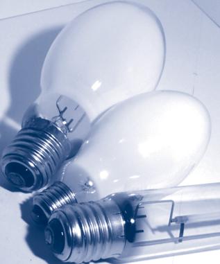 A C C E S S O R I E S Fittings and Ex-Floodlights Lamps for Ex-Pendant Light Fittings and Ex-Floodlights Lamps for Use in Ex-Pendant Light Fittings and Floodlights Lamps for Ex-Pendant Light Fittings