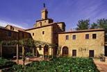 Wines bottled on the estate include: Brunello di Montalcino, Colvecchio Syrah, SummuS Afternoon After lunch, there is the opportunity