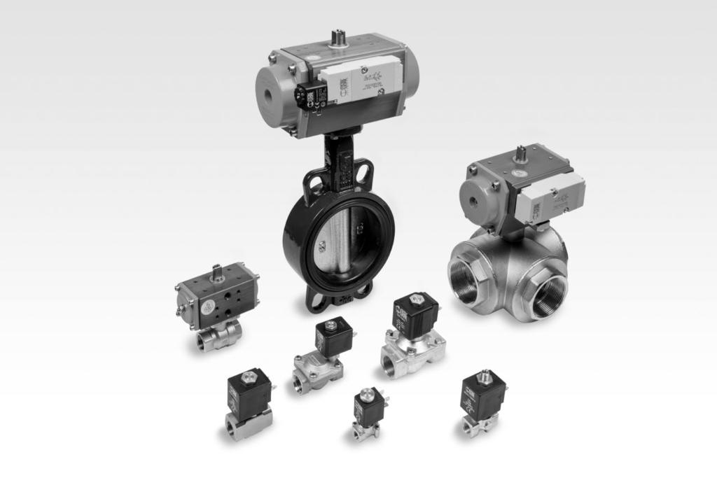 MULTIPLE-FLUID PROCESS VALVES MULTIPLE-FLUID PROCESS VALVES There are products designed for normal operation with compressed air that are not suited for application in certain industrial sectors.