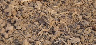 Even at limited depths (3 to 7 cm), is scalps the top soil.