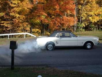 The meeting ended with Fireball doing a burnout and a leaf drive through the nearby woods.