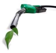 Biodiesel Renewable fuel produced by processing vegetable and