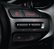 Auto cruise control and speed limiter Set, adjust or cancel the automatic system, with