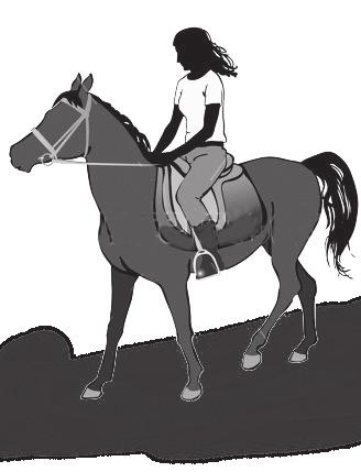 (d) The rider walks beside the horse and then gets onto the horse.