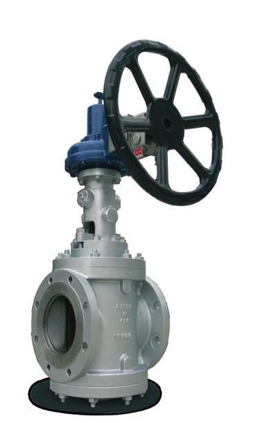 LIST OF REFERENCE DESIGN STANDARDS: The Double Block &Bleed Dual Expanding Plug valves meet the international standards listed below: 24. API 6D: Pipeline Valves.