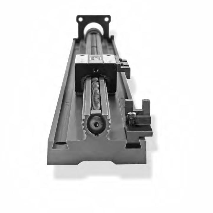 RGS10 and RGW10 Non-Motorized Linear Rais With and Without Guide Screw RGS10 Non-Motorized Linear Rais Non-motorized RGS inear rais feature standard wear-compensating, anti-backash driven carriages