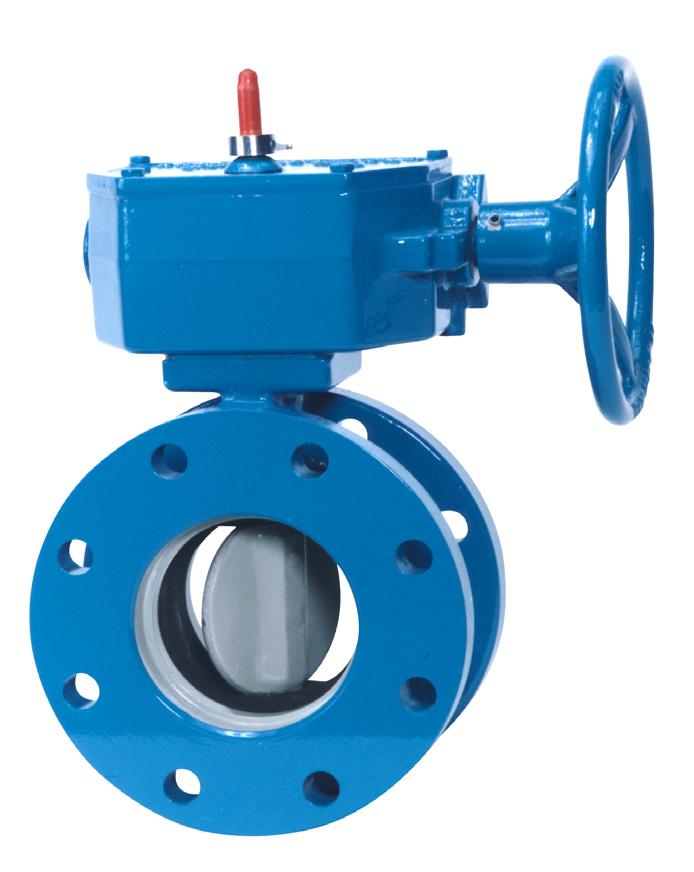 3-20 2FII & Groundhog Bonded Seat Butterfly Valve Operation and Maintenance