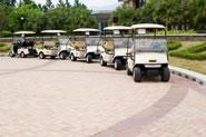 Golf cart batteries are very expensive