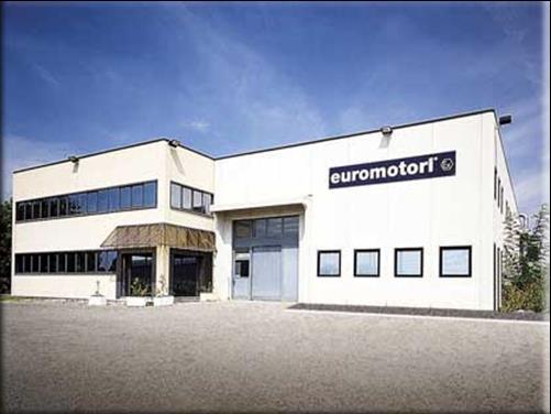 Introduction & mission euromotori is an italian manufacturer of electric motors established in 1962, and since 1990 operates in the explosion proof sector.