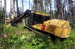 We offer contract log harvesting and hauling services to sawmills across Northern Alberta, and have built our reputation on efficient,